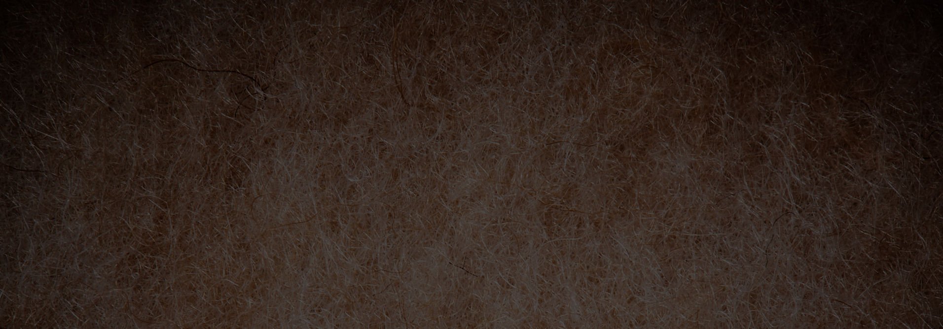 banner title